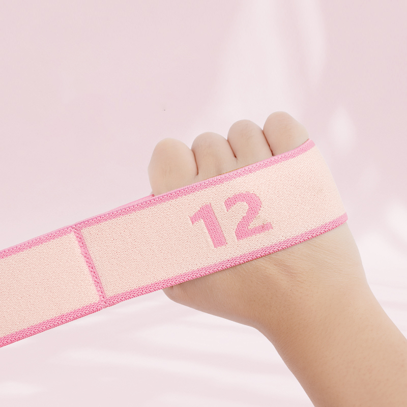 ヨガ弾性ストレッチバンド抵抗ロープフィットネスピラティスダン - Milanaise Mesh Band のレビューと価格